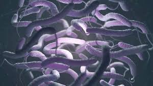 Florida-Flesh-Eating-Bacteria