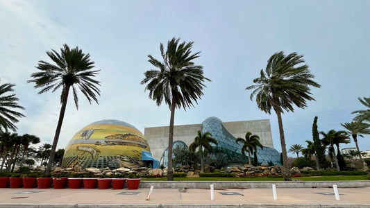 Museum of Fine Arts in Downtown St. Petersburg participating in St. Pete Free Museum Day 2026 on September 19th