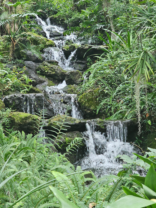 Lush tropical waterfall flowing over moss covered rocks in a forest landscape typical of Florida’s protected state park environments.