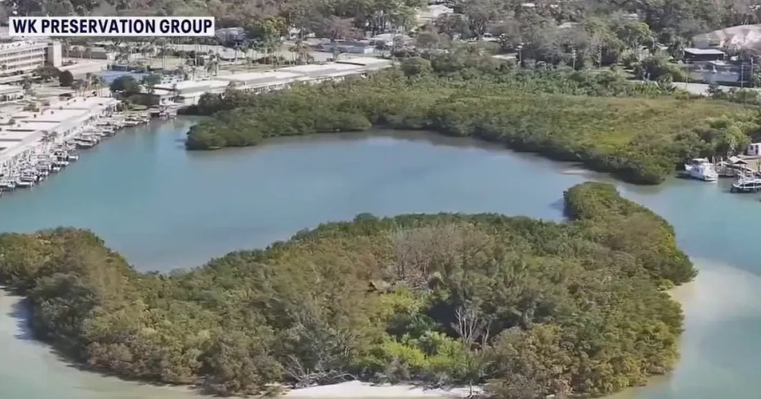 Aerial view of the proposed Duhme Road Reserve along Boca Ciega Bay in Pinellas County, showing mangrove-covered waterfront habitat targeted for preservation by WK Preservation Group.