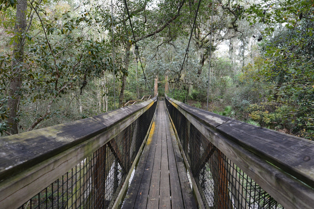 Whistleblower vs. The DEP: James Gaddis Sues Over Secret State Parks Blueprint