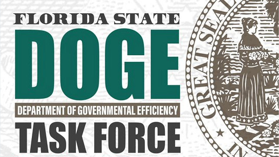 Florida-DOGE-Auditors-Target-Pinellas-Two-Day-Deep-Dive-Set-for-August