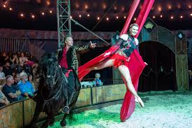 Aerial silk performer in red costume suspended above arena floor during Cirque Ma’Ceo equestrian arts show at Avalon Stables in Lutz near Tampa Bay with live audience watching.