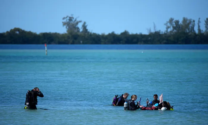 Divers and environmental responders in Sarasota Bay near the Ringling Causeway following a reported raw wastewater spill that released about 14,000 gallons into the bay